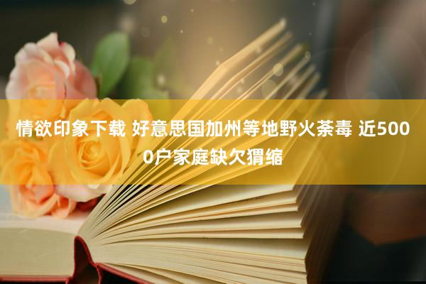 情欲印象下载 好意思国加州等地野火荼毒 近5000户家庭缺欠猬缩