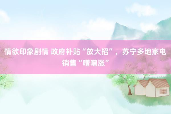 情欲印象剧情 政府补贴“放大招”，苏宁多地家电销售“噌噌涨”