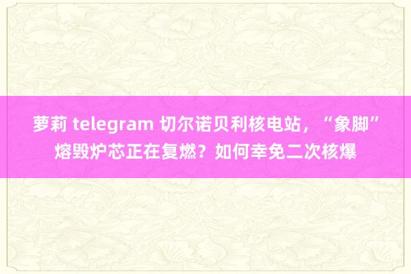 萝莉 telegram 切尔诺贝利核电站，“象脚”熔毁炉芯正在复燃？如何幸免二次核爆