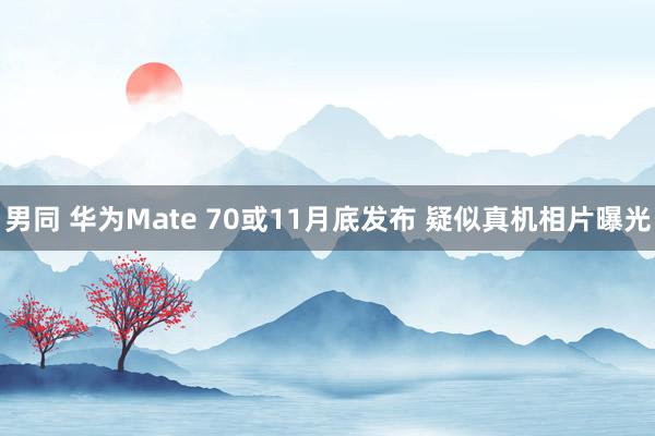 男同 华为Mate 70或11月底发布 疑似真机相片曝光