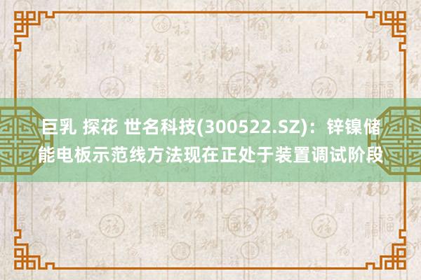 巨乳 探花 世名科技(300522.SZ):锌镍储能电板示范线方法现在正处于装置调试阶段