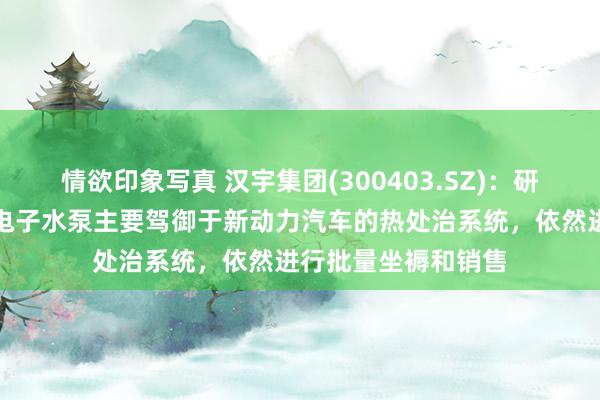 情欲印象写真 汉宇集团(300403.SZ)：研发、坐褥、销售的电子水泵主要驾御于新动力汽车的热处治系统，依然进行批量坐褥和销售