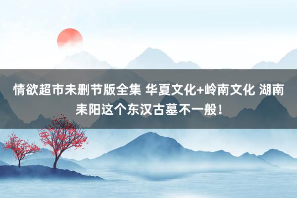 情欲超市未删节版全集 华夏文化+岭南文化 湖南耒阳这个东汉古墓不一般！