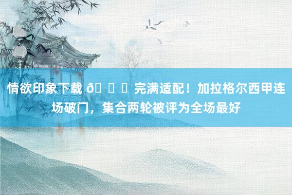 情欲印象下载 😎完满适配！加拉格尔西甲连场破门，集合两轮被评为全场最好