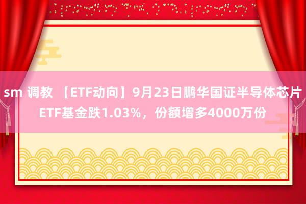 sm 调教 【ETF动向】9月23日鹏华国证半导体芯片ETF基金跌1.03%，份额增多4000万份