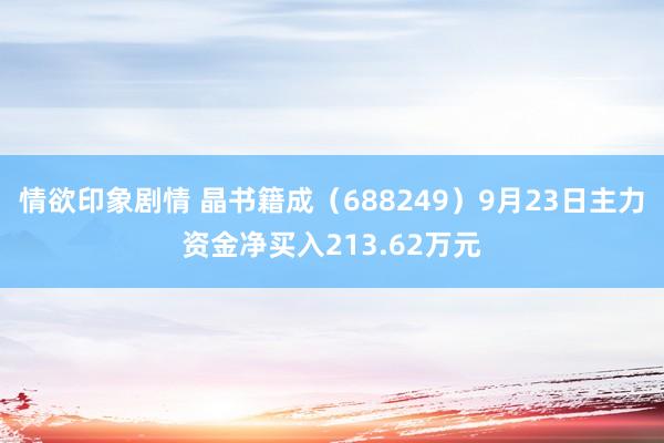 情欲印象剧情 晶书籍成（688249）9月23日主力资金净买入213.62万元