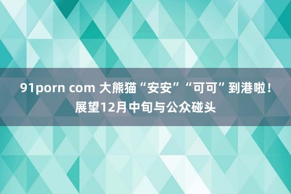 91porn com 大熊猫“安安”“可可”到港啦！展望12月中旬与公众碰头