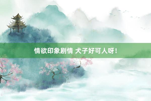 情欲印象剧情 犬子好可人呀!