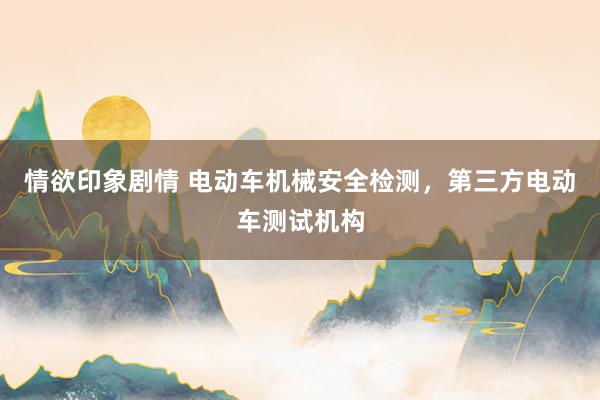 情欲印象剧情 电动车机械安全检测，第三方电动车测试机构