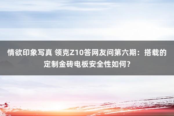 情欲印象写真 领克Z10答网友问第六期：搭载的定制金砖电板安全性如何？