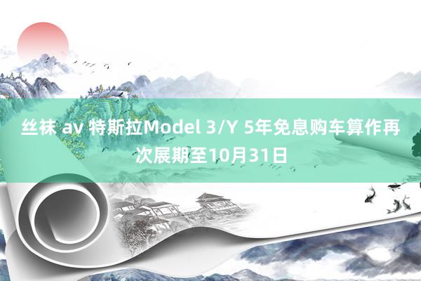 丝袜 av 特斯拉Model 3/Y 5年免息购车算作再次展期至10月31日