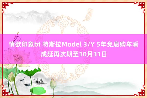 情欲印象bt 特斯拉Model 3/Y 5年免息购车看成延再次期至10月31日