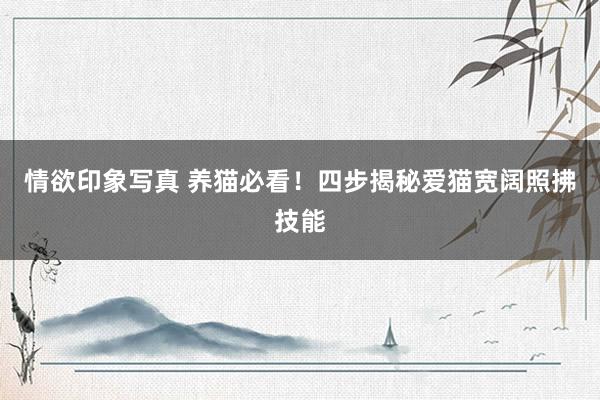 情欲印象写真 养猫必看！四步揭秘爱猫宽阔照拂技能