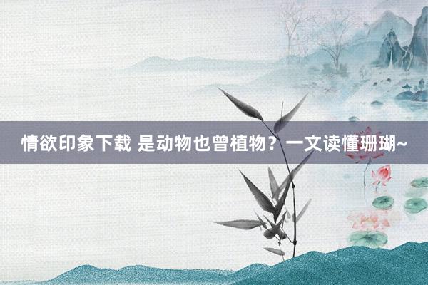 情欲印象下载 是动物也曾植物？一文读懂珊瑚~