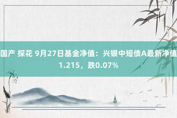 国产 探花 9月27日基金净值：兴银中短债A最新净值1.215，跌0.07%
