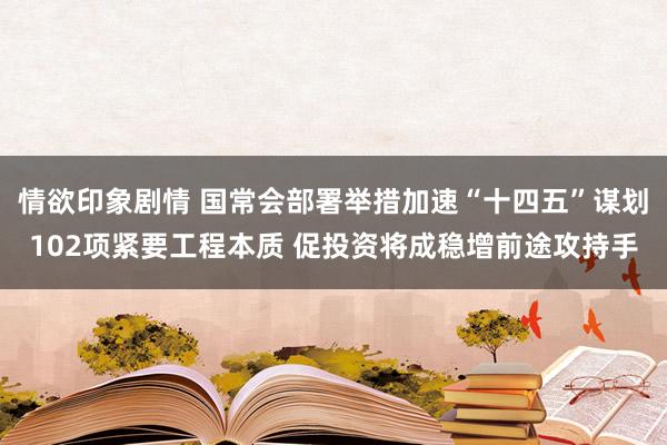 情欲印象剧情 国常会部署举措加速“十四五”谋划102项紧要工程本质 促投资将成稳增前途攻持手