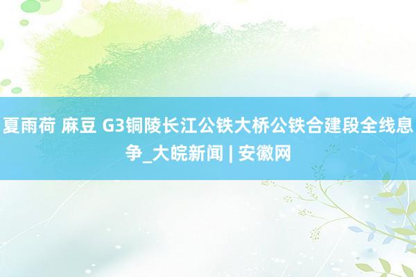 夏雨荷 麻豆 G3铜陵长江公铁大桥公铁合建段全线息争_大皖新闻 | 安徽网