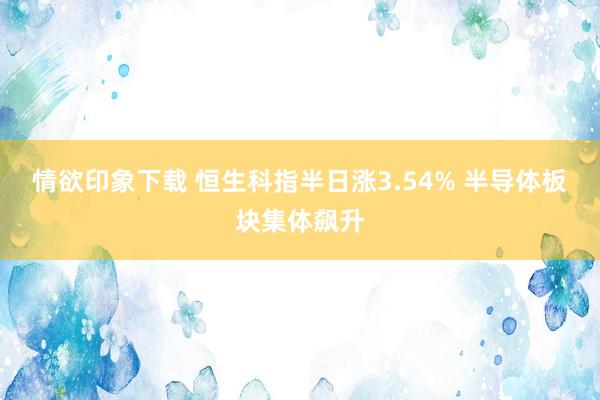 情欲印象下载 恒生科指半日涨3.54% 半导体板块集体飙升