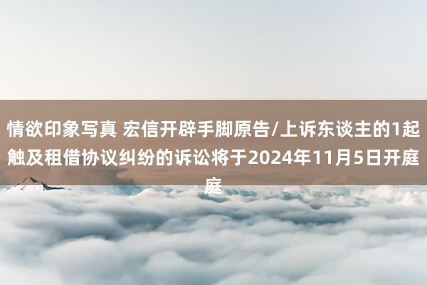 情欲印象写真 宏信开辟手脚原告/上诉东谈主的1起触及租借协议纠纷的诉讼将于2024年11月5日开庭