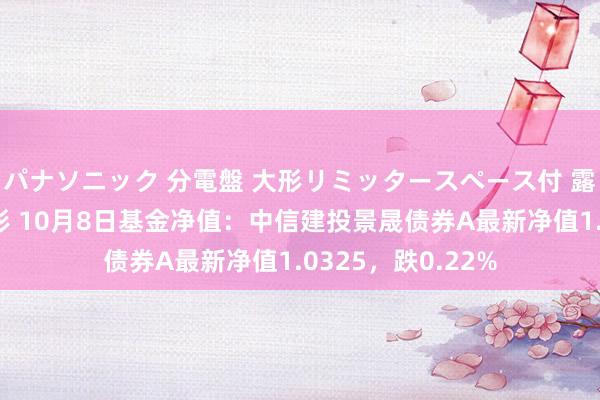 パナソニック 分電盤 大形リミッタースペース付 露出・半埋込両用形 10月8日基金净值：中信建投景晟债券A最新净值1.0325，跌0.22%