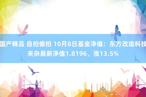 国产精品 自拍偷拍 10月8日基金净值：东方改造科技夹杂最新净值1.8196，涨13.5%
