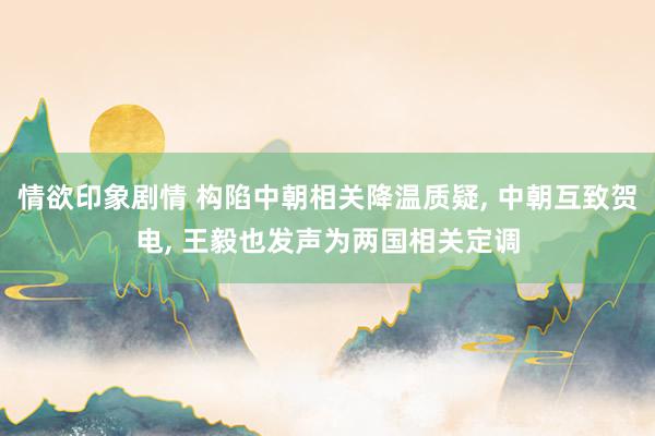 情欲印象剧情 构陷中朝相关降温质疑， 中朝互致贺电， 王毅也发声为两国相关定调