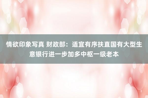 情欲印象写真 财政部：适宜有序扶直国有大型生意银行进一步加多中枢一级老本
