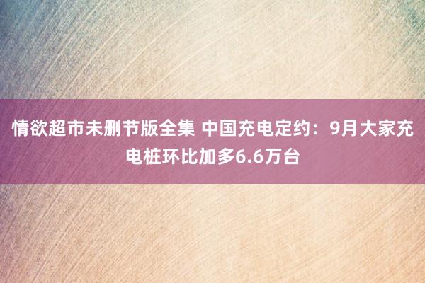 情欲超市未删节版全集 中国充电定约：9月大家充电桩环比加多6.6万台