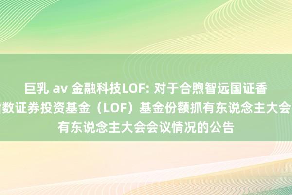 巨乳 av 金融科技LOF: 对于合煦智远国证香蜜湖金融科技指数证券投资基金（LOF）基金份额抓有东说念主大会会议情况的公告