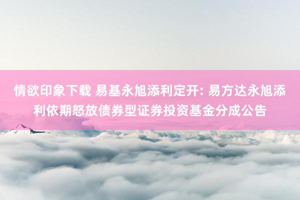 情欲印象下载 易基永旭添利定开: 易方达永旭添利依期怒放债券型证券投资基金分成公告