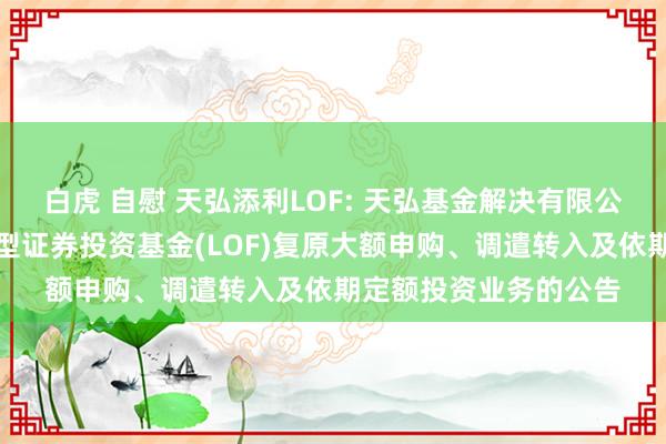白虎 自慰 天弘添利LOF: 天弘基金解决有限公司对于天弘添利债券型证券投资基金(LOF)复原大额申购、调遣转入及依期定额投资业务的公告
