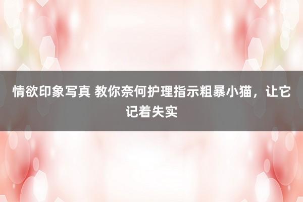 情欲印象写真 教你奈何护理指示粗暴小猫，让它记着失实