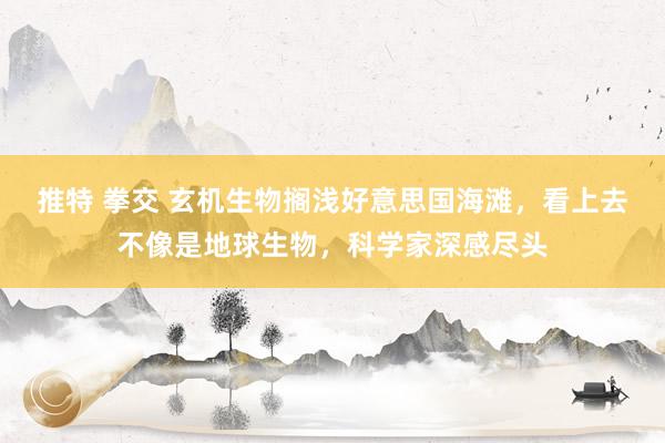 推特 拳交 玄机生物搁浅好意思国海滩，看上去不像是地球生物，科学家深感尽头