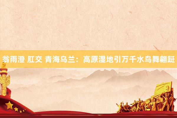 翁雨澄 肛交 青海乌兰:高原湿地引万千水鸟舞翩跹