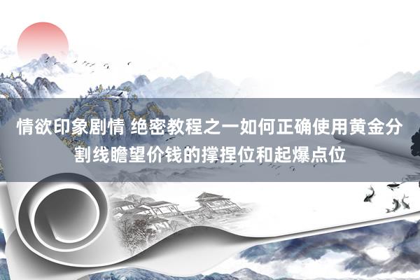 情欲印象剧情 绝密教程之一如何正确使用黄金分割线瞻望价钱的撑捏位和起爆点位