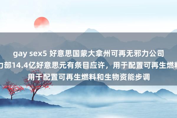 gay sex5 好意思国蒙大拿州可再无邪力公司取得好意思国动力部14.4亿好意思元有条目应许，用于配置可再生燃料和生物资能步调