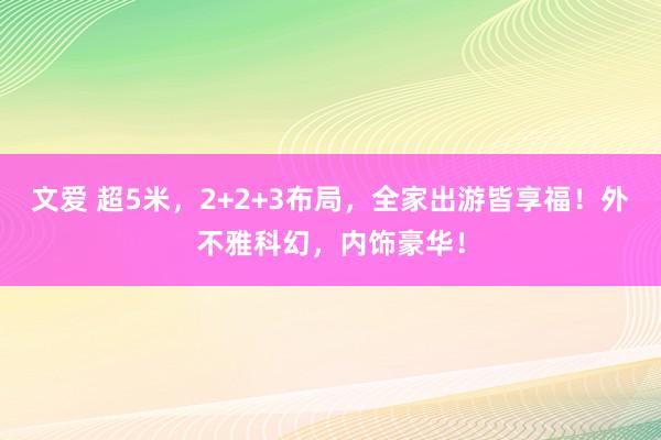 文爱 超5米，2+2+3布局，全家出游皆享福！外不雅科幻，内饰豪华！