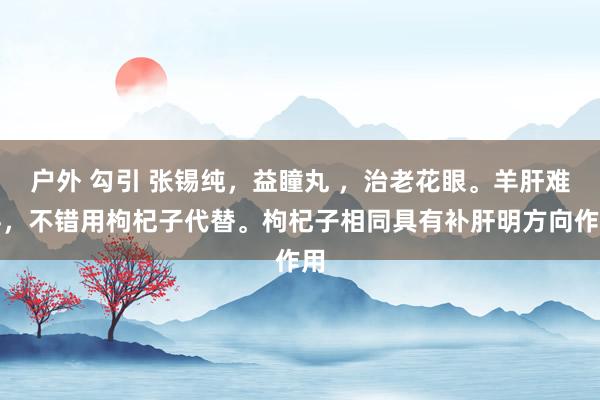 户外 勾引 张锡纯，益瞳丸 ，治老花眼。羊肝难寻，不错用枸杞子代替。枸杞子相同具有补肝明方向作用
