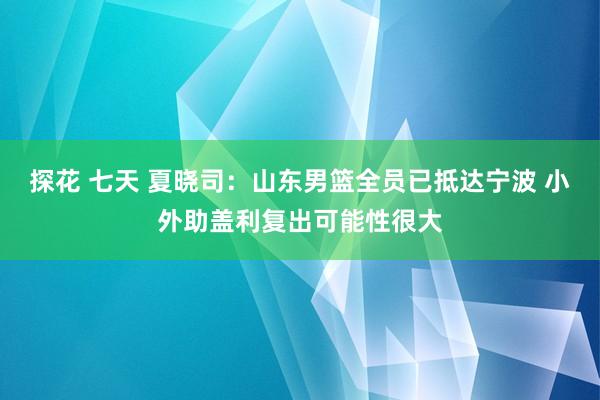 探花 七天 夏晓司：山东男篮全员已抵达宁波 小外助盖利复出可能性很大