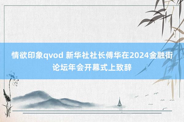 情欲印象qvod 新华社社长傅华在2024金融街论坛年会开幕式上致辞