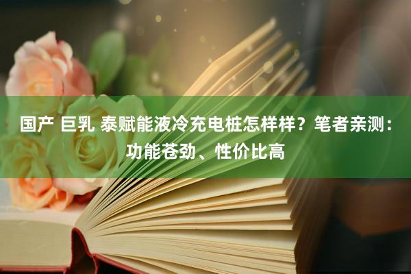 国产 巨乳 泰赋能液冷充电桩怎样样？笔者亲测：功能苍劲、性价比高
