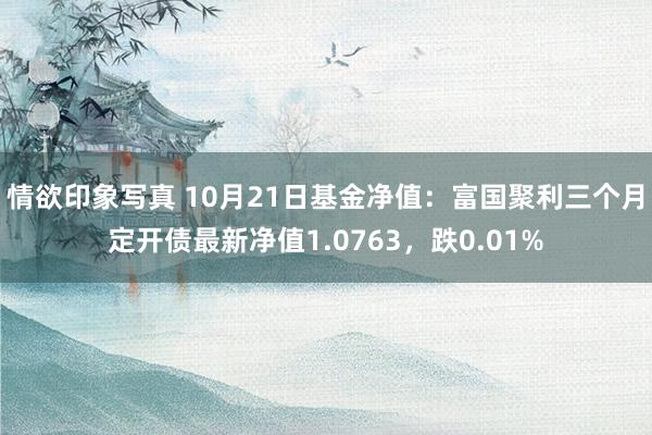 情欲印象写真 10月21日基金净值：富国聚利三个月定开债最新净值1.0763，跌0.01%