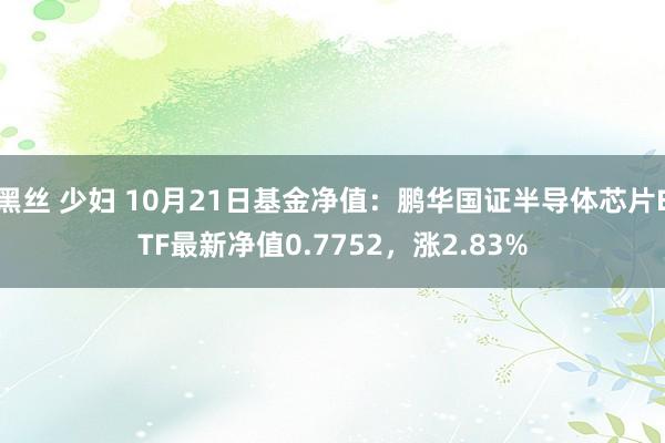 黑丝 少妇 10月21日基金净值：鹏华国证半导体芯片ETF最新净值0.7752，涨2.83%