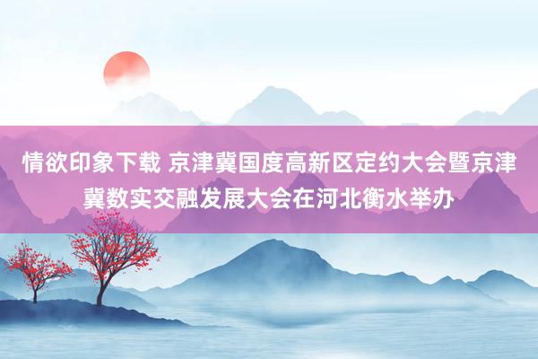 情欲印象下载 京津冀国度高新区定约大会暨京津冀数实交融发展大会在河北衡水举办