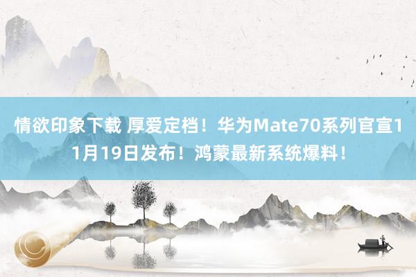 情欲印象下载 厚爱定档！华为Mate70系列官宣11月19日发布！鸿蒙最新系统爆料！