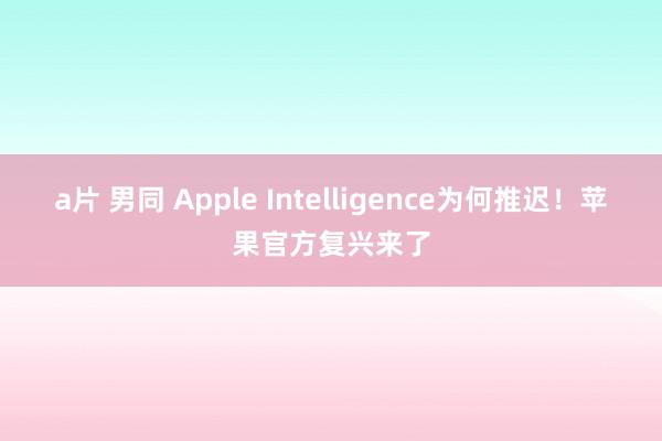 a片 男同 Apple Intelligence为何推迟！苹果官方复兴来了