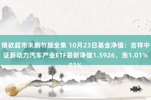 情欲超市未删节版全集 10月23日基金净值：吉祥中证新动力汽车产业ETF最新净值1.5926，涨1.01%