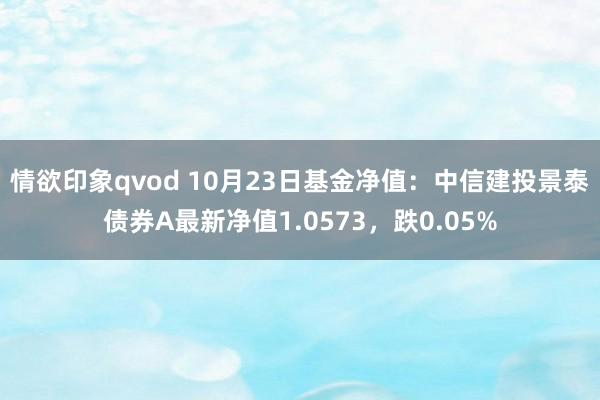 情欲印象qvod 10月23日基金净值：中信建投景泰债券A最新净值1.0573，跌0.05%