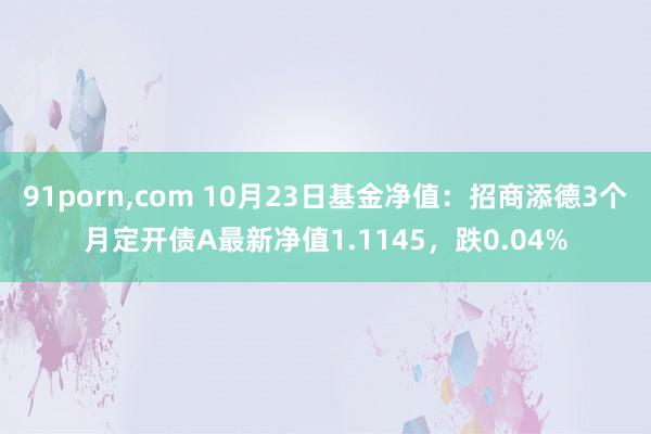 91porn，com 10月23日基金净值：招商添德3个月定开债A最新净值1.1145，跌0.04%