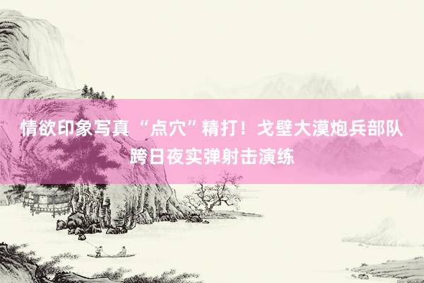 情欲印象写真 “点穴”精打！戈壁大漠炮兵部队跨日夜实弹射击演练